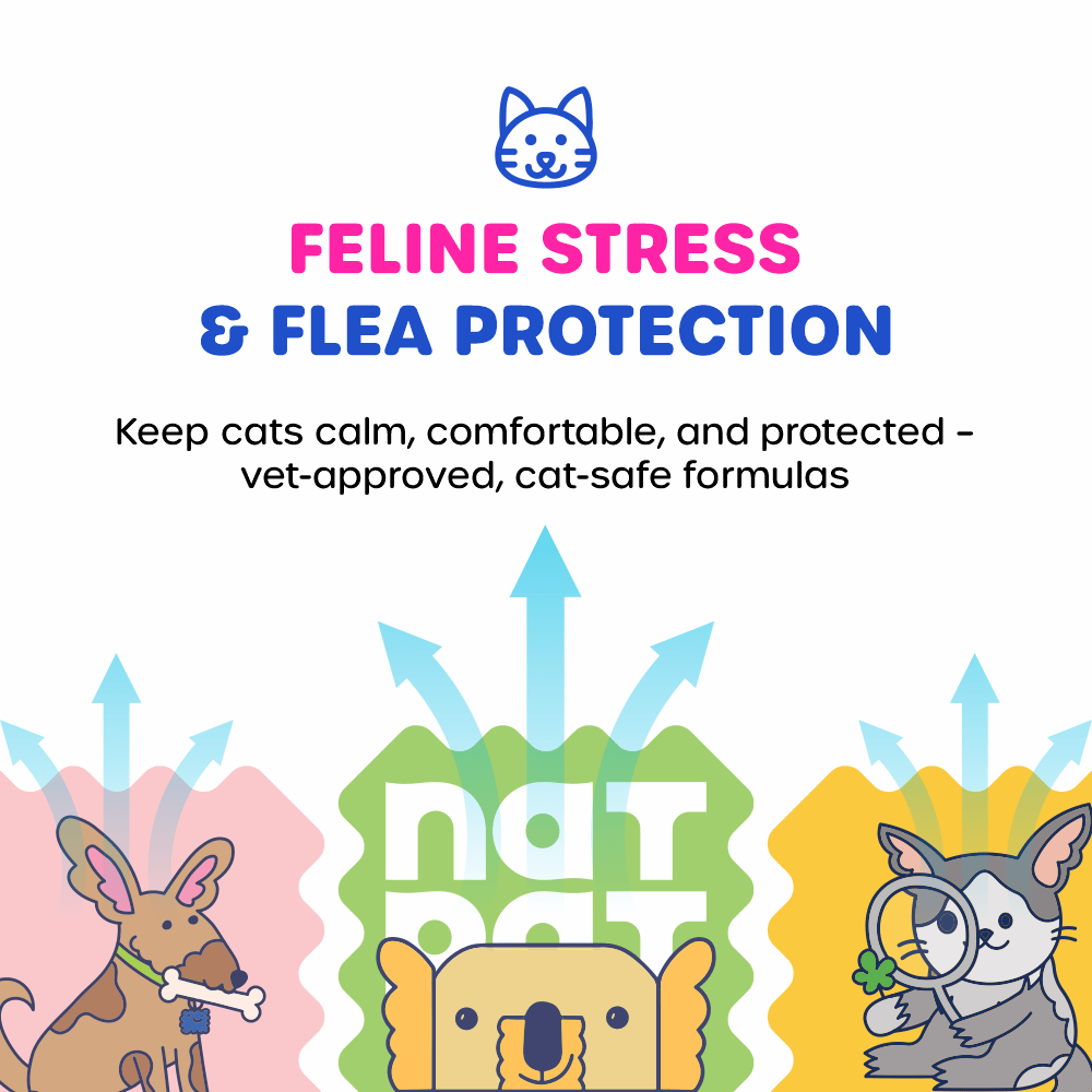 Cat Essential Care Kit - Image 2