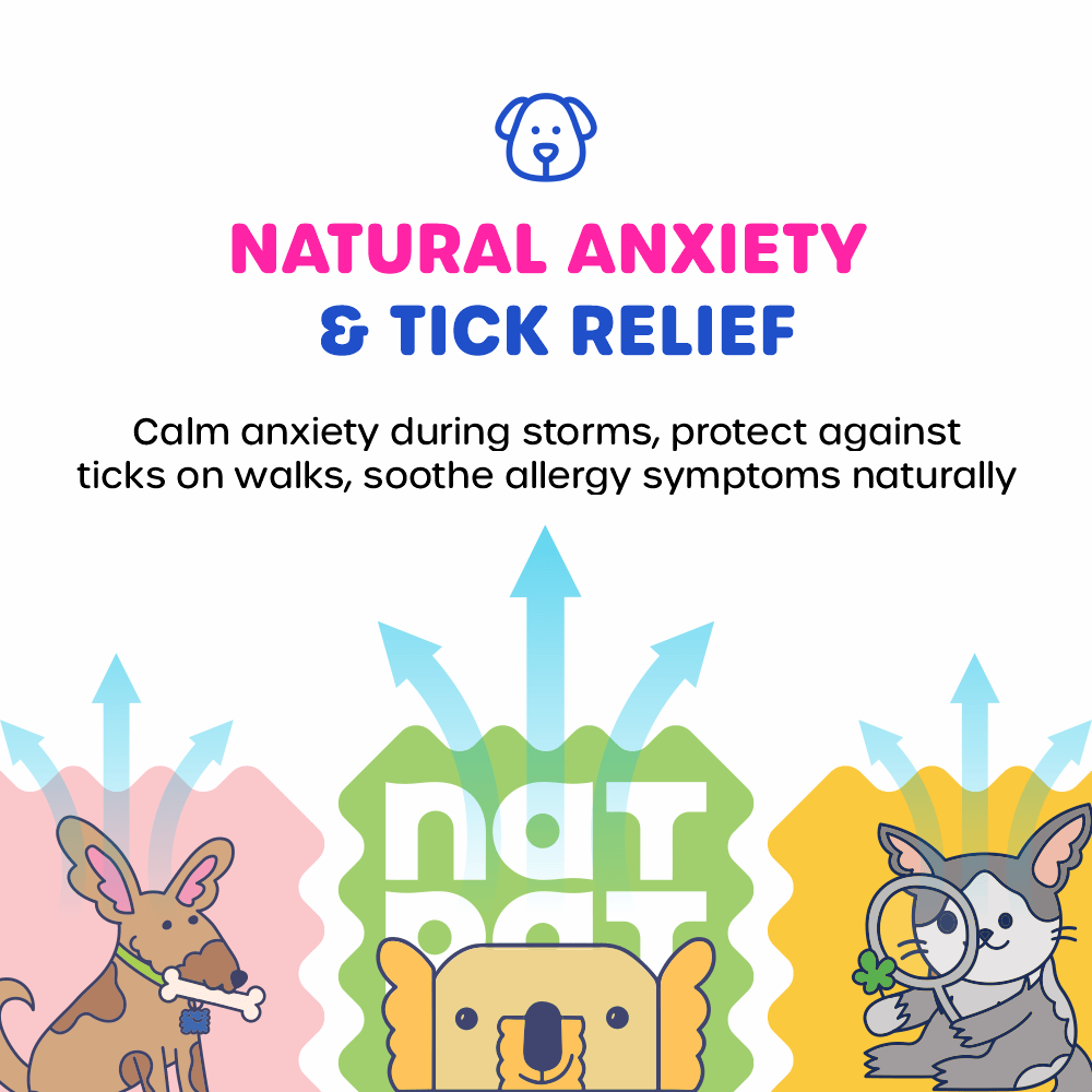 Dog Essential Care Kit - Image 2