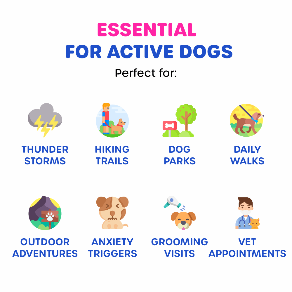 Dog Essential Care Kit - Image 3