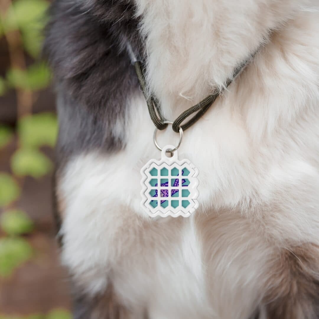 Pet Collar Holder - Image 6