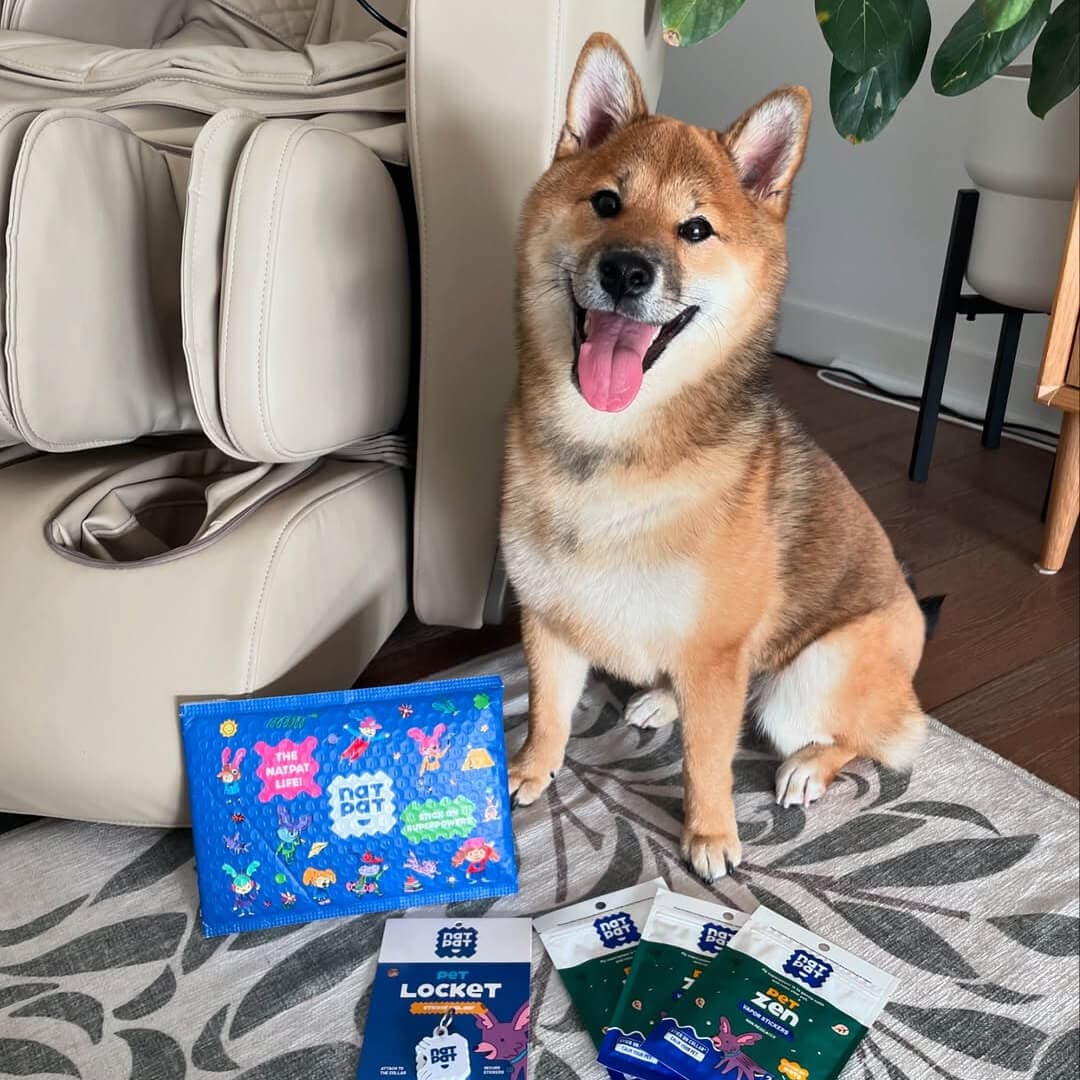 The Complete Pet Protector Kit - Image 2